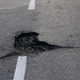 Illustration for article titled The Future of Pothole Repair Is Silly Putty